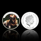 Dog Labrador Silver Coin Challenge Medal Elizabeth II Australia One Dollar