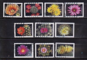 OFF paper #5350-59 Cactus Flowers (used set of 10) forever 2019 _f254 - Picture 1 of 1