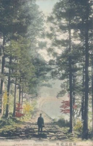PC JAPÓN Hakone Cryptomeria en Hakone Road 1900 - Imagen 1 de 2