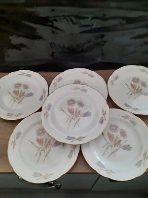 6 Assiettes plates A Dessert en porcelaine de Vierzon & Co décor floral  - Photo 1/4
