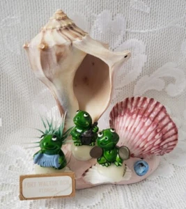 Vintage Frog Shell Souvenir Figure at Fort Wilton Beach Florida - Picture 1 of 6