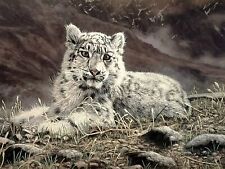 Baby Snow Leopard by Charles Frace Kitten Animal Wildlife Paper Fine Art Print 