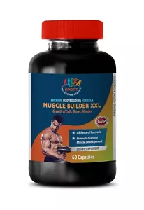 Formula bodybuilding - Muscle Builder XXL - Libido Booster - 1 bottiglia - Foto 1 di 12