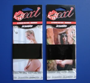 Sexy Woman Car Air Freshener Beautiful Girls HOT Pin-up Models SEALED SET - Picture 1 of 4