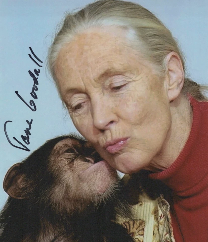 RP Jane Goodall anthropologist and conservationist, Autographed Reprint 8.5x11 - Image 1 of 1
