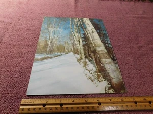 Impresión de arte de paisaje de invierno de revista vintage 1957 WL7 - Imagen 1 de 2