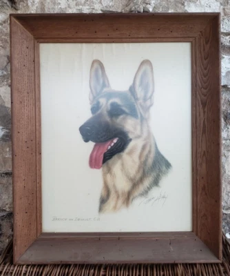 Robert "Bob" Hickey Arte Original Perro Pastor Alemán Enmarcado 24x21” Baruch Foto 1 de 4