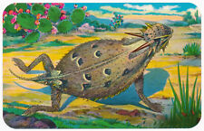 Texas Horned Toad - Vintage Postcard 1960