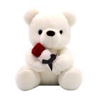 Valentines Day With Rose Stuffed Plush Bear Stuffed