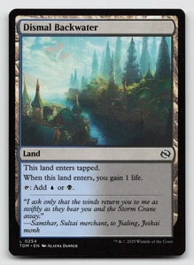 Dismal Backwater L Tarkir: Dragonstorm 254 NM - Picture 1 of 2