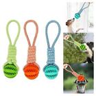 Dog Ball with Rope Treat Dispenser Interactive Dog Toy Treat Toy for Chase