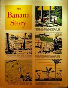 The Banana Story Booklet Chiquita Bananas 1947 - Picture 1 of 3