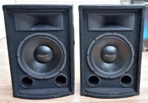 NEW P.A. Speakers 12" Woofers Piezo Horns 500W Bass DJ Concert Pro Full Assembly - Picture 1 of 2