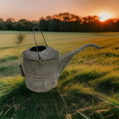 Regadera grande galvanizada de alta resistencia vintage con caño largo  Foto 1 de 4