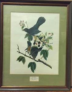 Arte aviar - Imagen 1 de 6