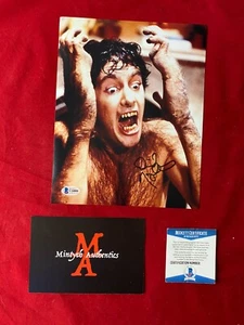 DAVID NAUGHTON EIN AMERIKANISCHER WERWOLF IN LONDON SIGNIERTES 8 X 10 FOTO! BECKETT COA! - Bild 1 von 1