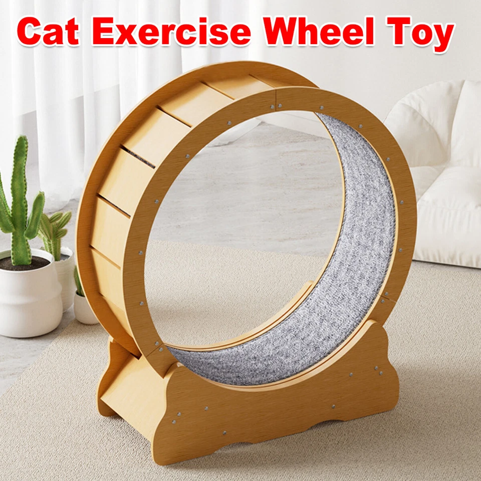 Advanced Cat Treadmill Wheel Quiet Durable Indoor Exercise Solution for Cats AU - image 1 of 4