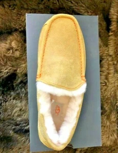 Neu im Karton! NEU! UGG Herren Ascot Wildleder Slipper Kastanie/CMRB/Orange Mix US8 - Bild 1 von 12