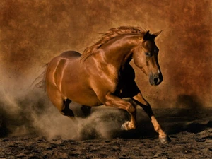 Ruby's Good Time by Robert Dawson Horse Print 12x10 - Picture 1 of 1