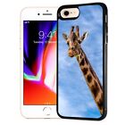 ( For Ipod Touch 5 6 7 ) Back Case Cover Pb12728 Giraffe