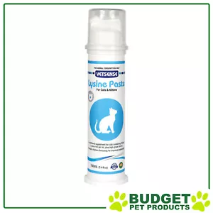Vetsense Lysine Paste Nutritional Supplement for Cats and Kittens 100ml - Picture 1 of 1