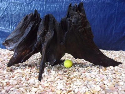 X-Large Driftwood 13"x24"x14" Aquarium Terrarium Reptile Natural Art - Image 1 of 4