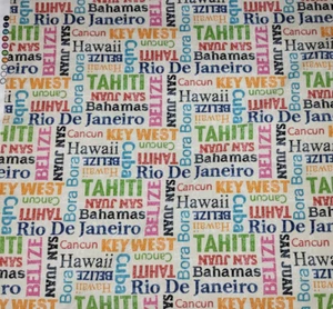 3 3/4 Yds PLK Studios Destinations in Multi 54" Wide 100% Polyester Outdoor - Picture 1 of 2