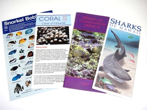 Hawaii Marine Life Brochures Lot of 4 Coral Laws Reef Fish Identification Sharks - Picture 1 of 6