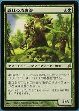 Timber Protector Lorwyn (JAPANESE) NM Green Rare MTG CARD (ID# 178518) ABUGames