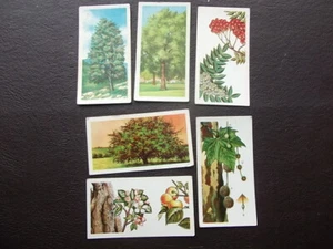 Trees in britain cards #25-30  choose card/s - Picture 1 of 13