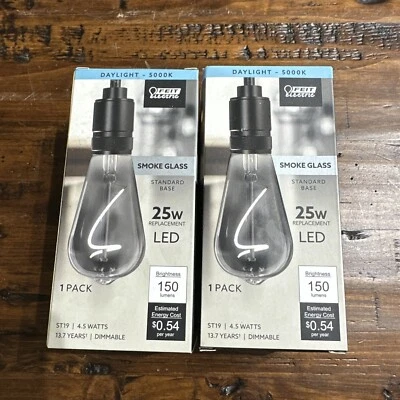 2 Ea-NEW Feit Electric 25W Equiv ST19 LED Smoke Glass Light Bulb Curve Filament - Image 1 of 3