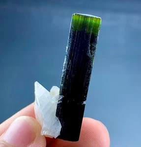 40 Karat Turmalin Kristall Präparat aus Astak Nala Mine, Pakistan - Bild 1 von 7