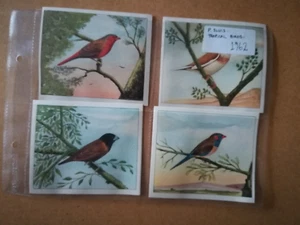 P.Sluis-Tropical Birds(1962)-Full set of 30 -EXC - Picture 1 of 14