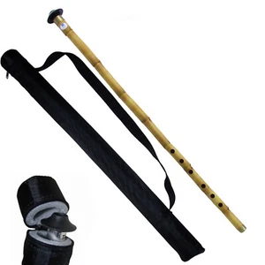 Quality Turkish Reed Ney Nay Woodwind Flute with Protective Case - Picture 1 of 8