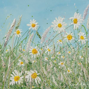 Siobhan McEvoy - Daisy Meadow - Arte Oficial de Pared de Impresión en Lona - 2 Tamaños - Imagen 1 de 1