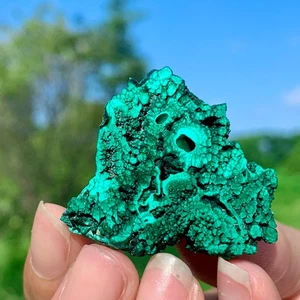 12G Natural glossy Malachite transparent cluster rough mineral sample - Picture 1 of 24