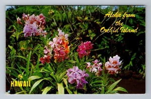 Orchid Island HI-Hawaii, Aloha Scenic Greetings Vintage Souvenir Postkarte - Bild 1 von 2