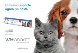 WeJoint Plus Katze Hund Gelenk Schutz Ergänzungsfuttermittel Paste 30ml - Bild 1 von 4