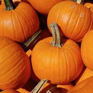 Pumpkins - Spookie (Small Size) - Picture 1 of 1