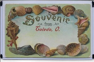 SEASHELL BORDER-SOUVENIR FROM TOLEDO,OH ~PM 1910 - Picture 1 of 2