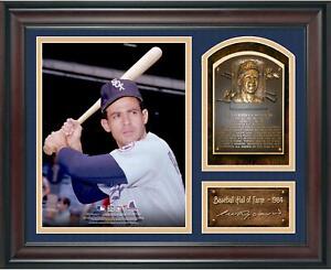 Luis Aparicio Baseball Hall of Fame Framed 15x17 Collage w/ Facsimile Signature