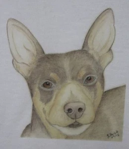 Miniature Pinscher T-Shirt or Sweatshirt unique drawn design sizes 3-6 mth- XXL - Picture 1 of 1