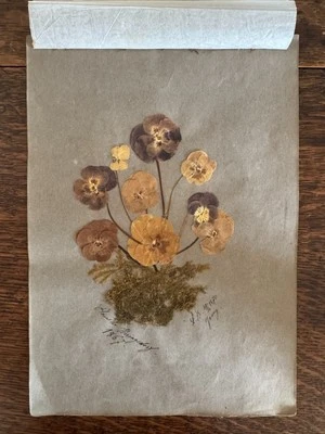 Unusual Antique Herbarium Dried Flower Specimen Art Bouquet Dated 1867/1870 8x12 - Image 1 of 4