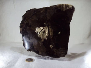 Sensationelle Bronzit Platte sehr große Kristalle Steiermark Österreich 1532g - Bild 1 von 7