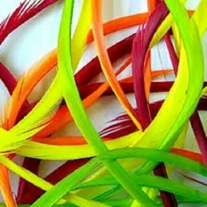 Mixed Pack of Goose Biot Strips 33 Colours Gordon Griffiths