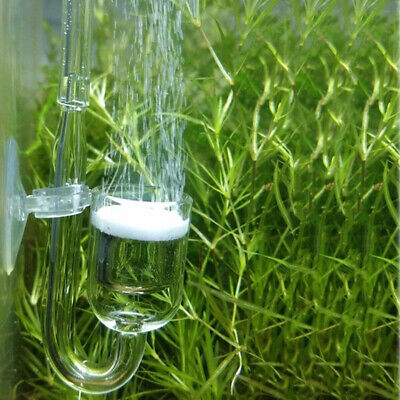 1PC Fish Tank CO2 Diffuser With Ceramic Disc Suction Cups For Aquarium Fis_js • 5.10€