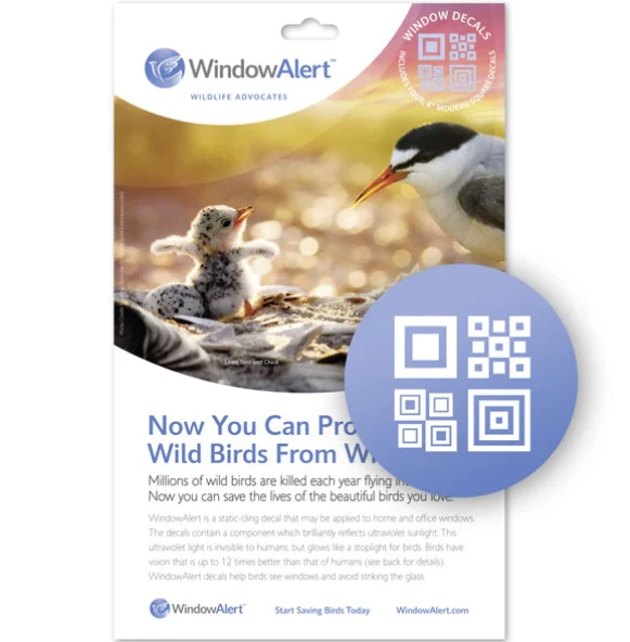 Birds Choice Window Alert Modern Square