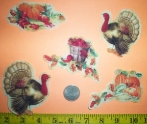 New! Cool! Thanksgiving Turkeys & Pumpkins Iron-on Fabric Appliques - Picture 1 of 1