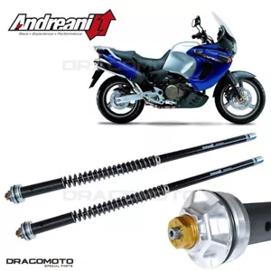 HONDA XL 1000 V Varadero 1999-2011 cartridge ANDREANI 105/H55E MISANO EVO - Picture 1 of 5