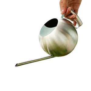 Flower Watering Can Plant Potted Kettle Iron Watering Can Garden Water Kettle - Picture 1 of 11
